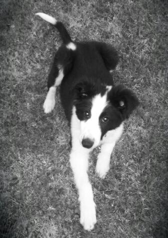 3 meses! 3 meses!